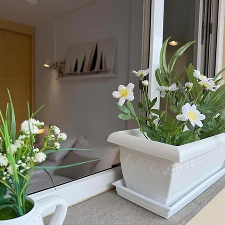 Apartamento Granada 5